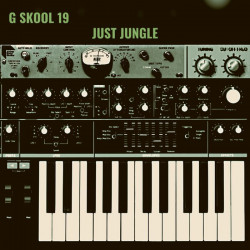 G Skool 19