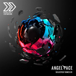Angel Ace Selected Tunes 01