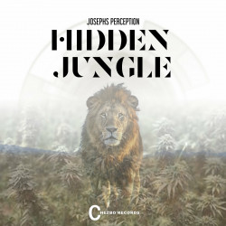 Hidden Jungle