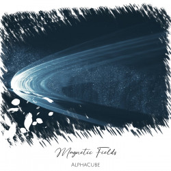 Magnetic Fields