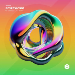 Future Vintage : Downplay Remixed