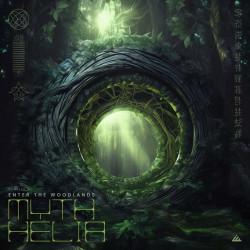 Chapter 3: Enter The Woodlands