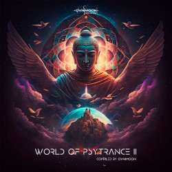 World Of Psytrance 11
