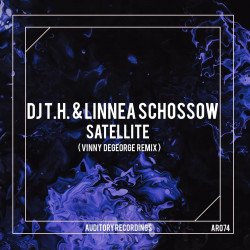 Satellite (Vinny DeGeorge Remix)