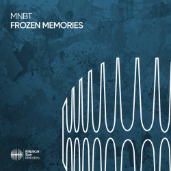 Frozen Memories