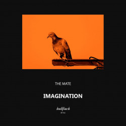  Imagination