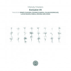 Melody Masters Exclusive VII