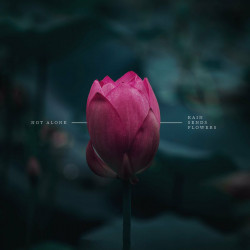 Not Alone​ /​ Rain Sends Flowers
