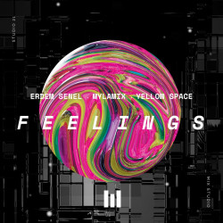 Feelings