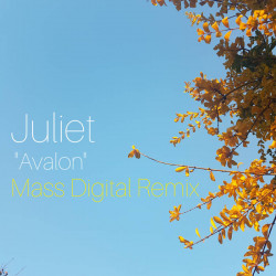 Avalon (Mass Digital Remix)