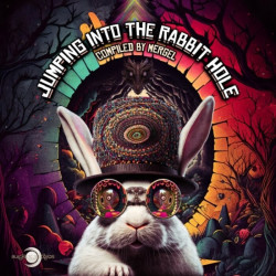 Jumping Into The Rabbit Hole