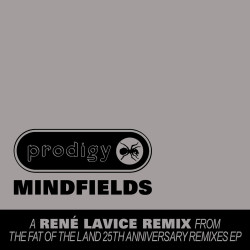 Mindfields (Rene LaVice Remix)