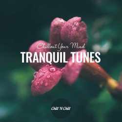 Tranquil Tunes Chillout Your Mind