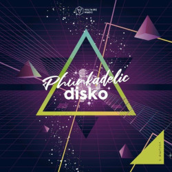 Phunkadelic Disko, Vol. 5