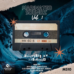 Marinated Soundz Vol.1 (Compiled By Nhlokzin)