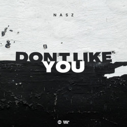 Don't Like You