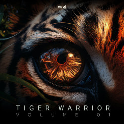 Tiger Warrior, Vol.1