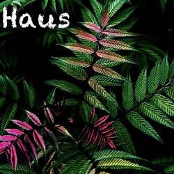 Haus 