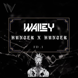 Hunter (Wailey Remix)