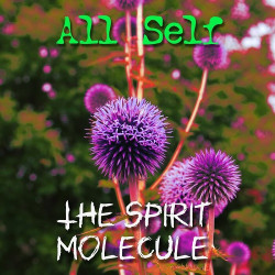 The Spirit Molecule