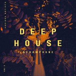 Deep-House and Champagne Vol.2