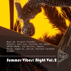 Summer Vibes Night Vol.2