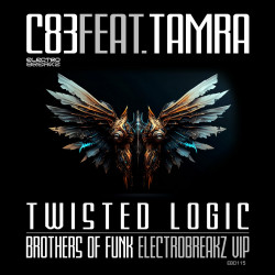 Twisted Logic (Brothers Of Funk ElectroBreakz VIP Mix)