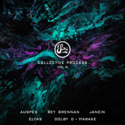 Collective Process Vol. 8