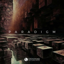 Steyoyoke Paradigm, Vol 10