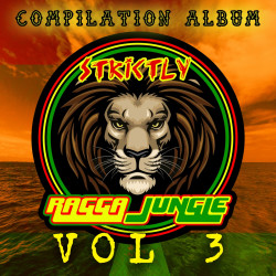 Strictly Ragga Jungle Compilation Album Vol. 3