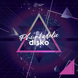 Phunkadelic Disko, Vol. 6