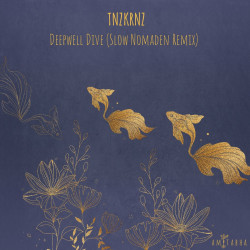 Deepwell Dive (Slow Nomaden Remix) 