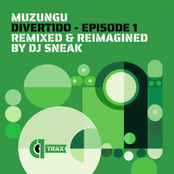 Divertido (Remixed & ReImagined by DJ Sneak)