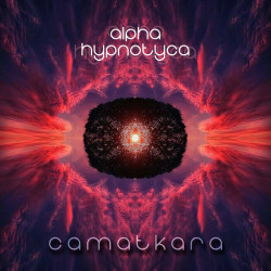 Camatkara