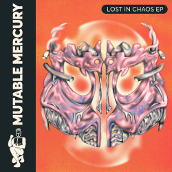 Lost in Chaos