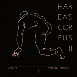 Habeas Corpus 2
