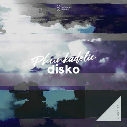 Phunkadelic Disko Vol.7