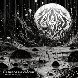 Persuit Of The Obscure (Compiled by DJ Tsubi)