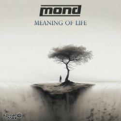 Meaning Of Life 