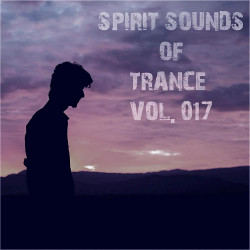 Spirit Sounds Of Trance Vol 17
