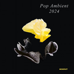 Pop Ambient 2024