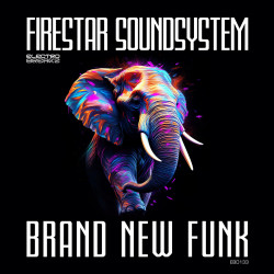 Brand New Funk