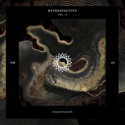 Retrospective Vol 17