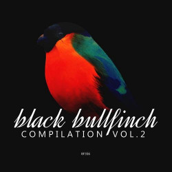  Black Bullfinch Compilation, Vol. 2