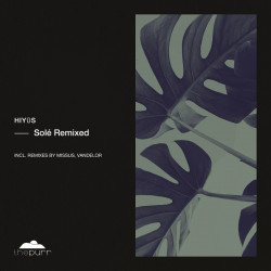 Solé Remixed 