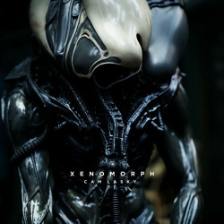 XENOMORPH Vol.4