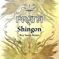 Shingon (Roy Sason Remix)