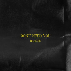 Don't Need You (Remixes)