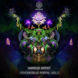 Psychedelic Portal Vol.3