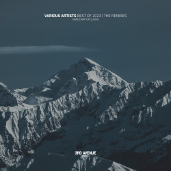 Best Of 2023 | The Remixes